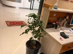 -筋骨堂热敷推拿按摩(翠华路店)