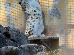 -青藏高原野生动物园