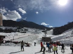 -太子岭滑雪场