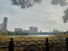 -黄兴公园