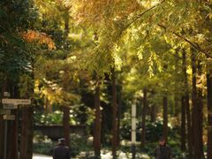 -苏州河梦清园环保主题公园