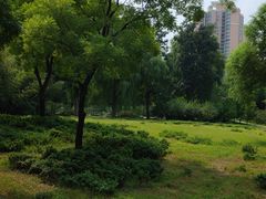-莲花池公园