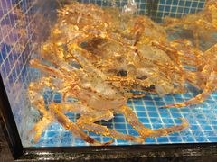 -东海怡品海鲜豆捞(舟宿夜江店)