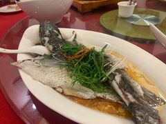 -东馆和天下特色餐饮(工农店)