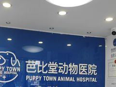 -芭比堂动物医院·心脏科·老年急重症·夜诊·吉雅分院