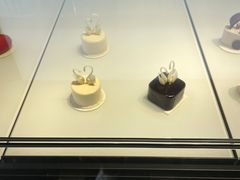 -BLACKSWAN黑天鹅(环球店)