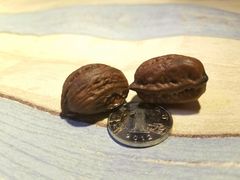 -天雅古玩城
