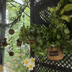 -金芙美月子中心(财富别墅店)