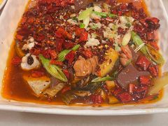 经典毛血旺-小吊梨汤·北京菜·烤鸭(鸟巢店)