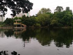 -晓港公园