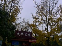 -成都市活水公园