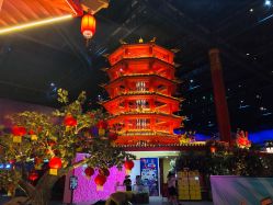 -南京万达乐园