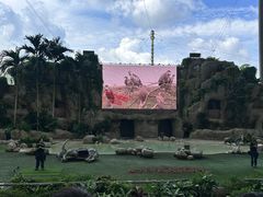 -新加坡飞禽公园