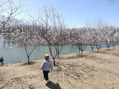 -东郊湿地公园