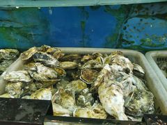 -渔中舟海鲜大排档(普陀沈家门店)