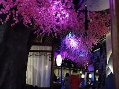 -韵秋荷(宝山龙湖天街店)