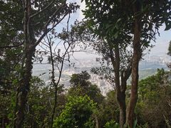 -梧桐山风景名胜区