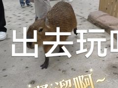 -北京野生动物园