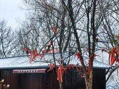 -游子山休闲旅游区