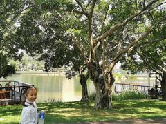 -四海公园(南山区)
