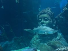 -暹罗海洋世界