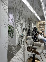 -D.G造型·烫发染发接发