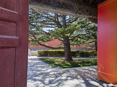 -北京市劳动人民文化宫(太庙)