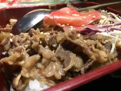 -春草居酒屋·晴子の店