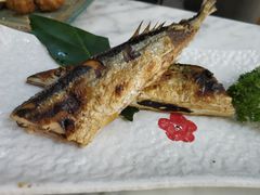 -红叶日料·放题·海胆·定食(星海店)