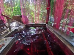 -观唐（国际）度假村温泉