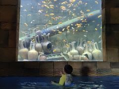 -新加坡水上探险乐园