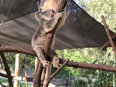 -可伦宾野生动物保护区