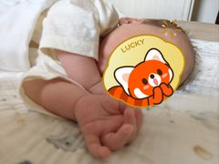 -天鹅到家·保姆月嫂育儿嫂(天河店)