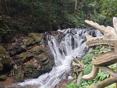 -莫里热带雨林景区