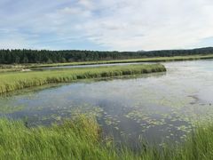 -塞罕坝国家级自然保护区