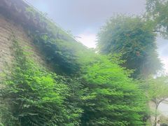 -朵云书院·广富林店