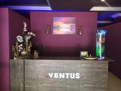 新店-ventus spa 沙巴亚庇正宗精油按摩会所