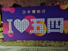 -上海都市菜园