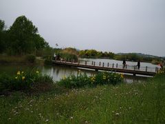 -淇河国家湿地公园