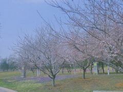 -北京宽沟会议中心