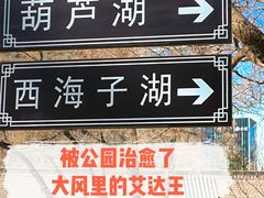 -西海子公园