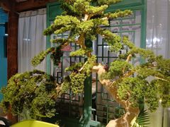 -渝乡辣婆婆·川菜 水煮鱼(中山西路店)