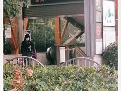 -杨高南路(地铁站)