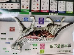 -瑞派名望24h动物医院异宠专科·猫专科·骨科·重症监护分院