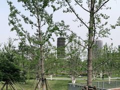 -西海子公园