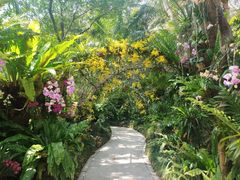 -深圳仙湖植物园