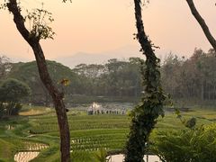 -四季酒店下午茶