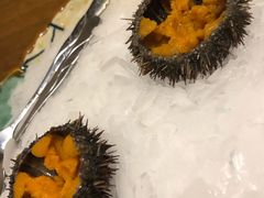 活海胆-万岛日本料理铁板烧(太古里店)