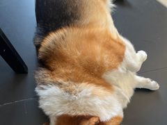 -简象咖啡CAFE ELE JANE(满陇桂雨店)