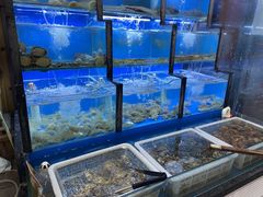 水产区-老东镇啤酒屋海鲜加工·蒸汽海鲜·海鲜烧烤(台东店)